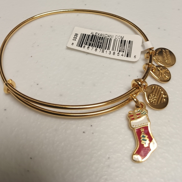ALEX AND ANI STOCKING CHARM BANGLE - Picture 6 of 7